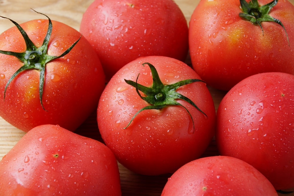 トマトのリコピンの持つ効果効能とは。女性必見の抗酸化作用あり（成分図鑑⑱）