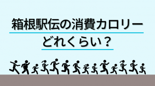 箱根駅伝の消費カロリーはどれくらい？健康効果も紹介！